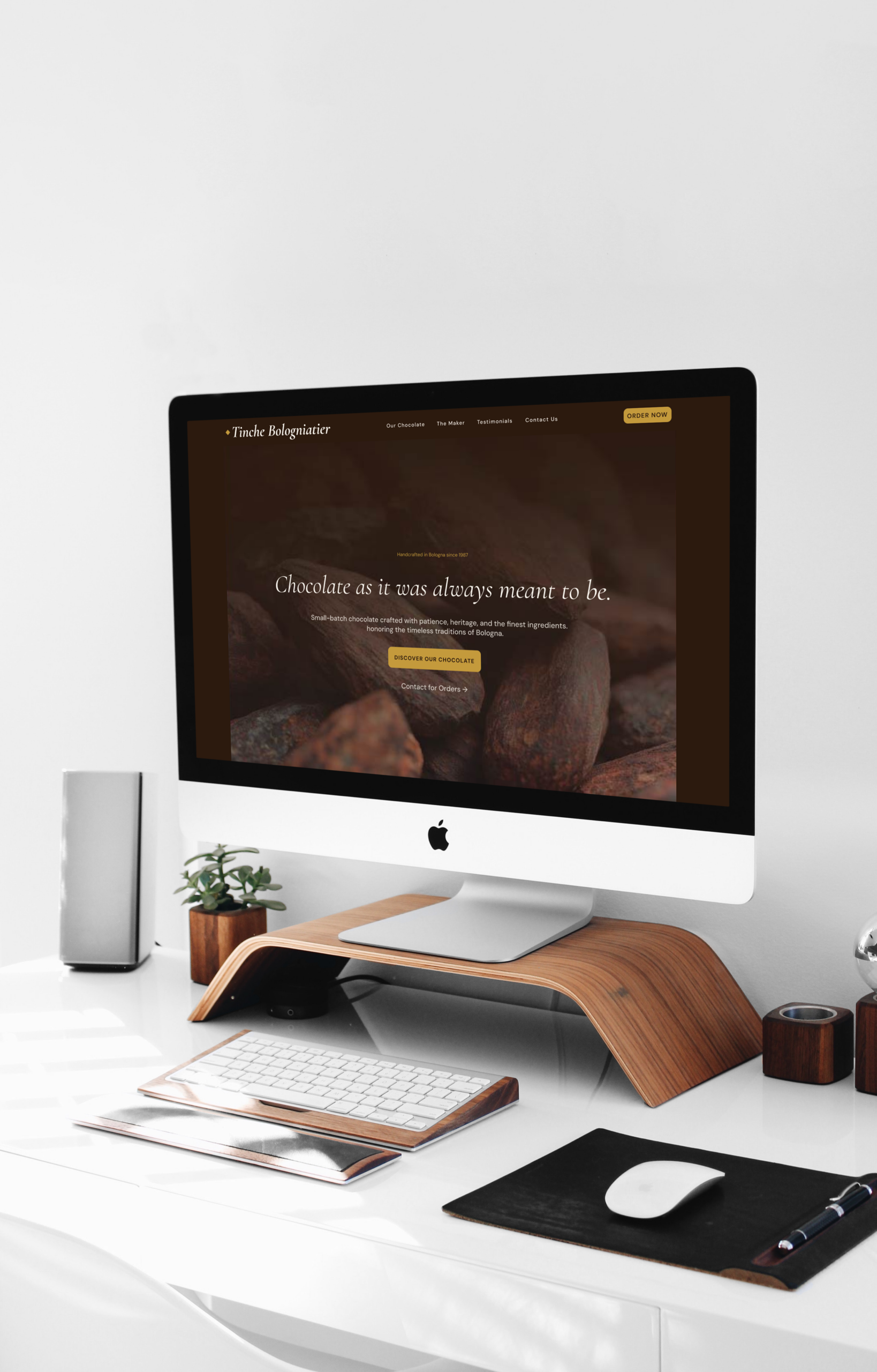Tinche Bologniatier website